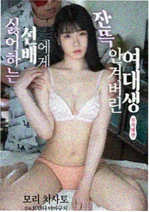 旧城手记剧集海报